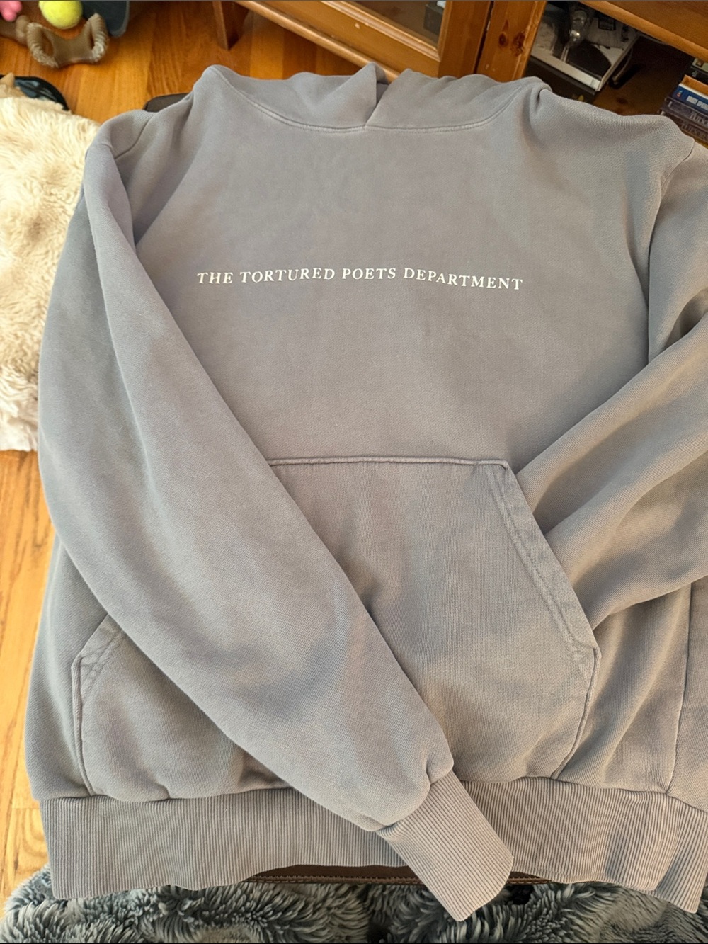 Taylor Swift Hooded Sweatshirt - Light Gray with White Text